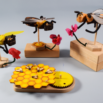 Bee Causes: <em>The Arts, Work, and Wonders of Bees</em>