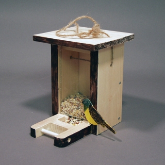 Environmental Design: Birdfeeder