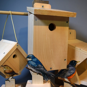 2020 Sustainable Birdhouse 