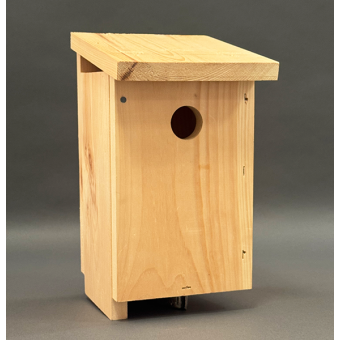 Building for Birds thumbnail