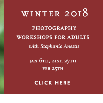 Winter 2018 – Mini Photography Workshops With Stephanie Anestis thumbnail