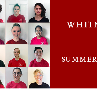 The Whitney Workshop@Home – Summer 2020 thumbnail