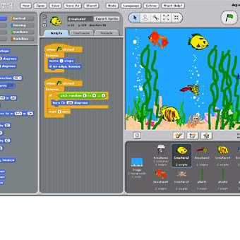 February 2013 Scratch: for 10 – 14 year olds.