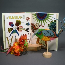 The Art and Engineering of Birds