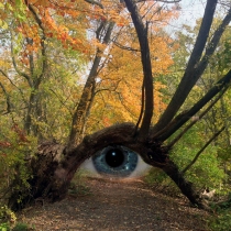 Thumbnail of Computer: Digital Photography project