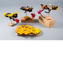 Bee Causes: <em>The Arts, Work, and Wonders of Bees</em>