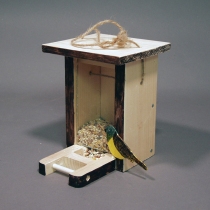 Environmental Design: Birdfeeder