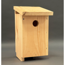 Thumbnail of Building for Birds project