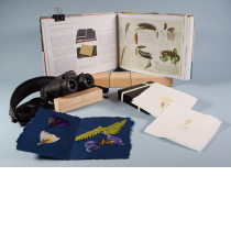Hiking & Journaling <em>in East Rock Park Ages 9-12</em>
