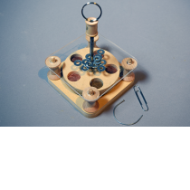 The Magnetic Top