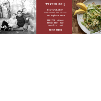 Thumbnail of Winter 2019 – Adult Workshops project