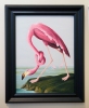 Nilda Gagliardi. <i>Audubon Would Knot Approve</i>